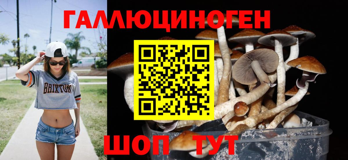 Партизанск  Псилоцибиновые грибы Psilocybe  Вход с VPN  Галлюциногенные грибы Psilocybine cubensis 